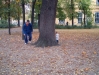 virag_nov28