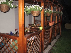 img_5780 img_5780