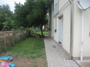 img_5784 img_5784